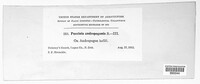 Image Associated With the Occurence